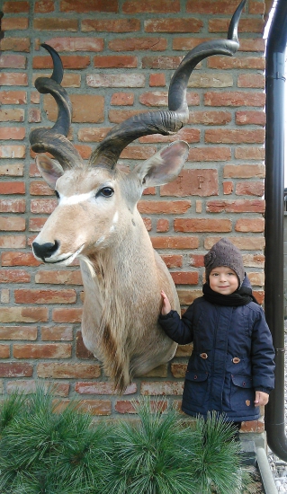 Kudu a moja laska
