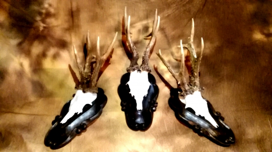 Po renovacii starsich trofeji aj podloziek