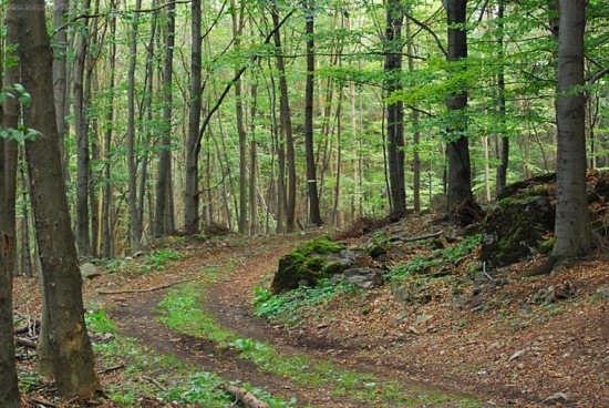 Pohronský Inovec