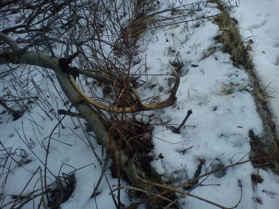 Pred včerom nam štastie prialo