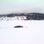 Dnes rano