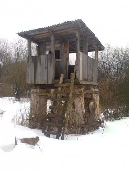 Toto som našiel dnes v lese