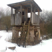 Toto som našiel dnes v lese