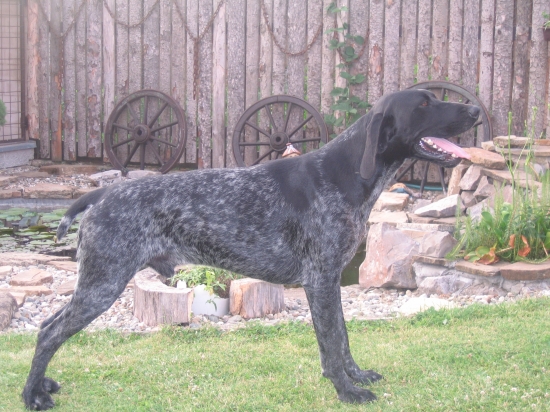 Don z Vážanského žlebu