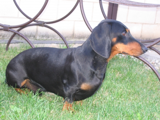 Cirk od Lutopeckého rybníka