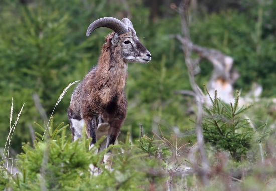 Z druhej pozície...