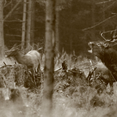Tohoročná atmosféra trochu inak.