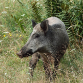 Ranná pohoda.