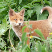 čo by som ešte vyviedla ???