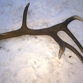 moj prvý v tomto roku 3kg