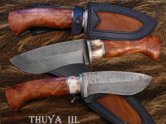 Lovecký damaškovýn Thuya III.