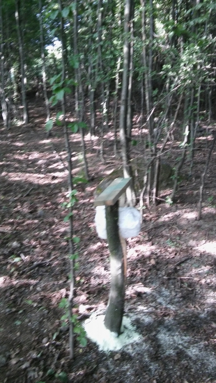 5 minútové solisko