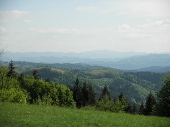 hušte