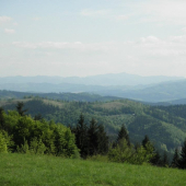 hušte