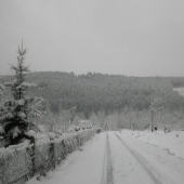 cesta od zakrmovania v zime