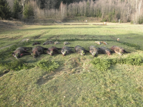 memorial alojza risku a spol. polovacka