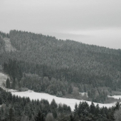 zima5