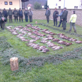 Polovačka na bažanty na Kysuciach