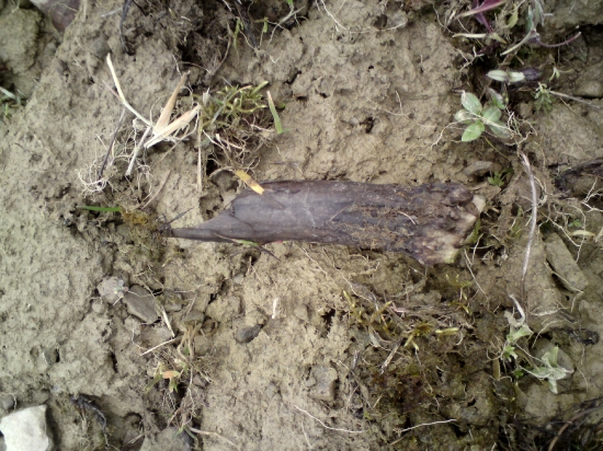 môj prvi skoseny :/