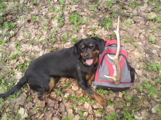 Prečo ma fotíš oproti slnku ? :D