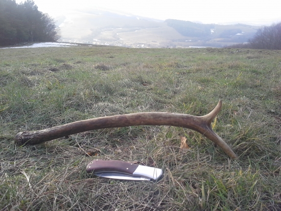 komu sa nelení tomu sa zelení