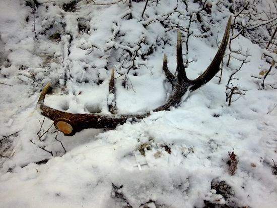 10torák prvý pohlad