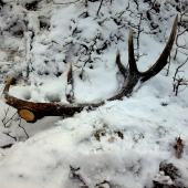 10torák prvý pohlad