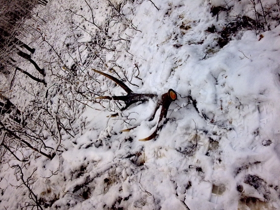 10torák prvý pohlad2