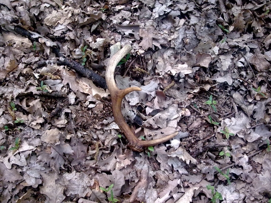 .....zhod!!!!...:))...