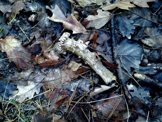 ..Aj taký poteší...