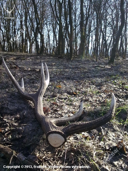 ...Konečne!!!...