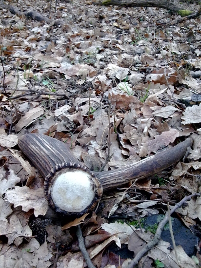 ...asi para k minulému...