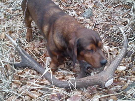 Atos a jeho 12-torák ...