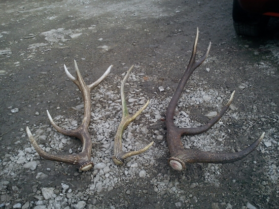 nedela,trochu slabšia...