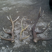 nedela,trochu slabšia...