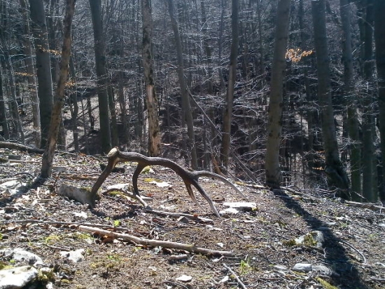 a druheho zasa niet...