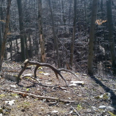 a druheho zasa niet...