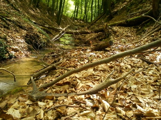 dnes v práci...12torák