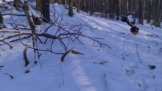 prvy tohoto roku,ale minulorocny