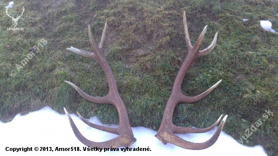 vaha 7,30kg.
