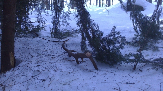 uz som ho dohladal....