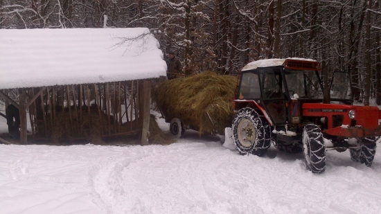 treba aj prikrmovat nie len zhody zberat