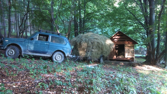 moze zacat snezit :-)