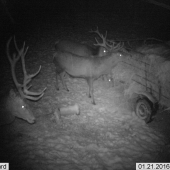 krmelec na kolesach :o)