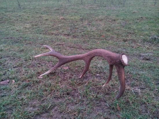 takto pekne namna cakal