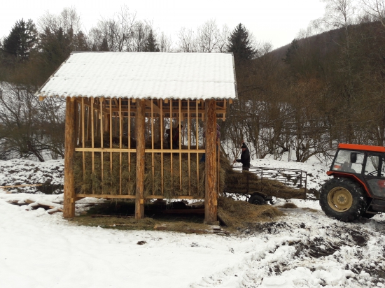 plnenie noveho centralneho krmelca.