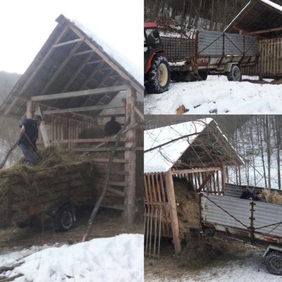 dnesna podpora do mrazov