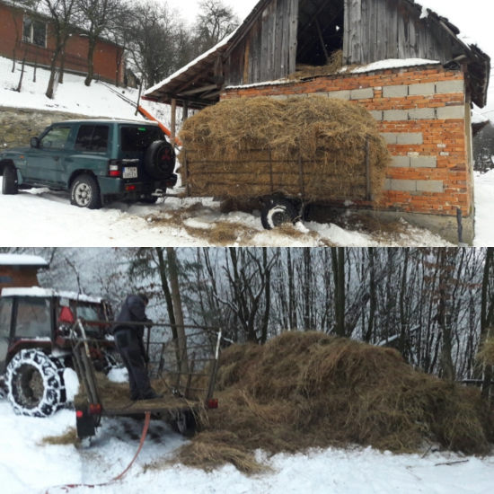 stare seno zo stareho povala BIO...
