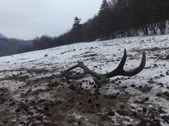 nesklamal zasa len jeden...