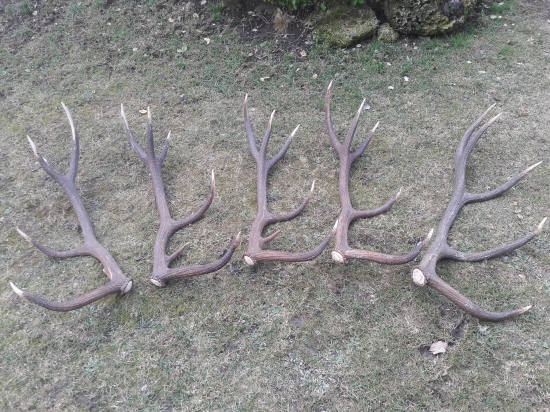 z jedneho 2014 ,15,16,17.